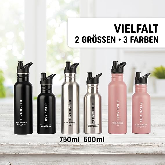 Trinkflasche Edelstahl silber